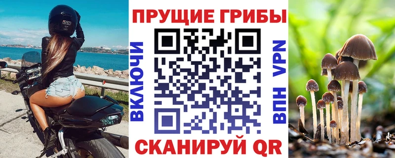 Псилоцибиновые грибы ЛСД  Сысерть 